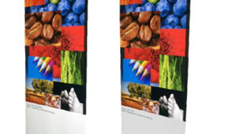 noleggio roll up promo